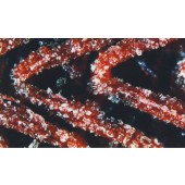 Шлифовъчен диск RUPES X-CUT Foam Abrasive P2000 125 mm