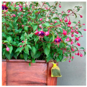 Отблъсквач за котки Kunagone E Cats repellent (2 бр.)