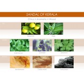 Lazuren aromat za avtomobil Mr&Mrs Fragrance Sandal Of Kerala