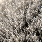 Chetka za dzhanti Work Stuff Monsoon XL Wheel and Arch Brush