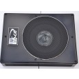 Активен Субуфер KICX ALN 201SA