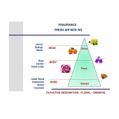 Златист автомобилен аромат Mr&Mrs Fragrance Cesare Noble Oud