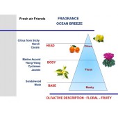 Svetlosin aromat za avtomobil Mr&Mrs Fragrance Ocean Breeze