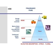 Луксозен сребърен ароматизатор за автомобил Mr&Mrs Fragrance Niki Pure