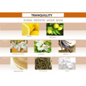 Kafjav aromat za avtomobil Mr&Mrs Fragrance Tranquillity