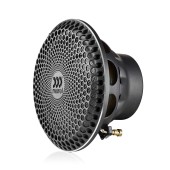 Morel Lotus Grill 12