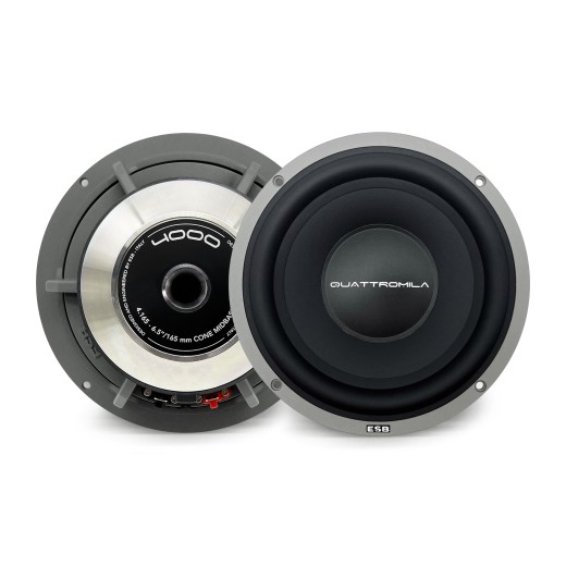 Тонколони ESB Audio 4.165