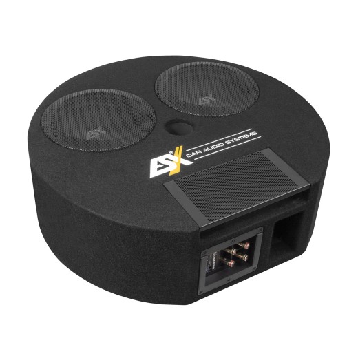 Субуфер в кутия ESX DBX800Q