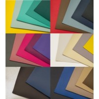 Sinus Live KL silver