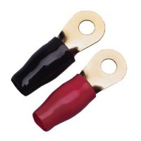 Sinus Live RKS-50 P2