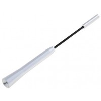 Антенен прът AM/FM UNI2