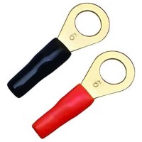 Sinus Live RKS-6 P10